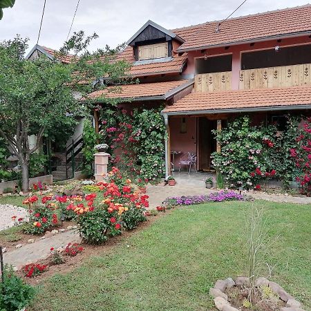 Apartman Mika Sokobanja Zewnętrze zdjęcie
