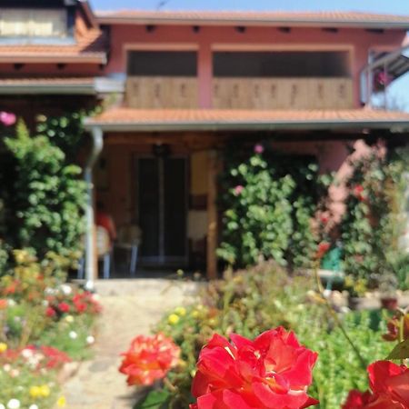 Apartman Mika Sokobanja Zewnętrze zdjęcie