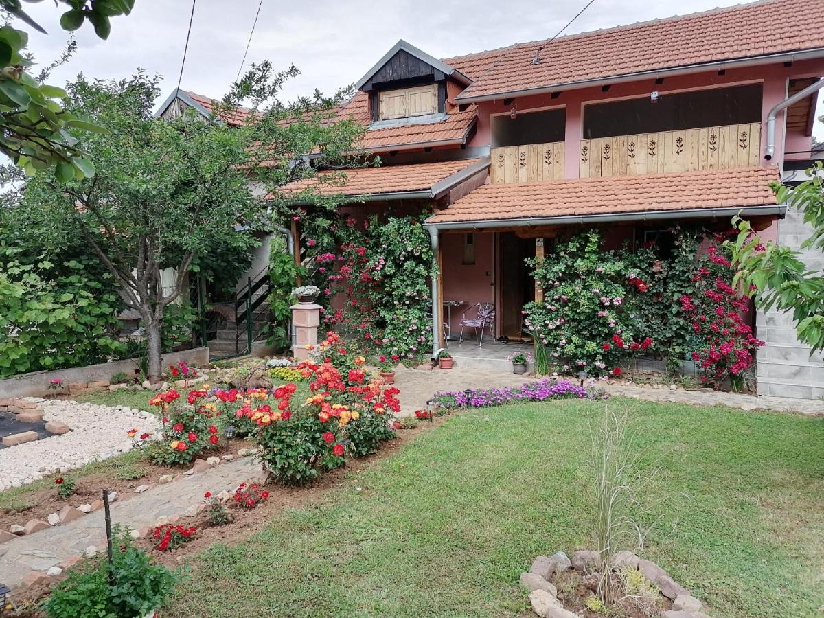 Apartman Mika Sokobanja Zewnętrze zdjęcie